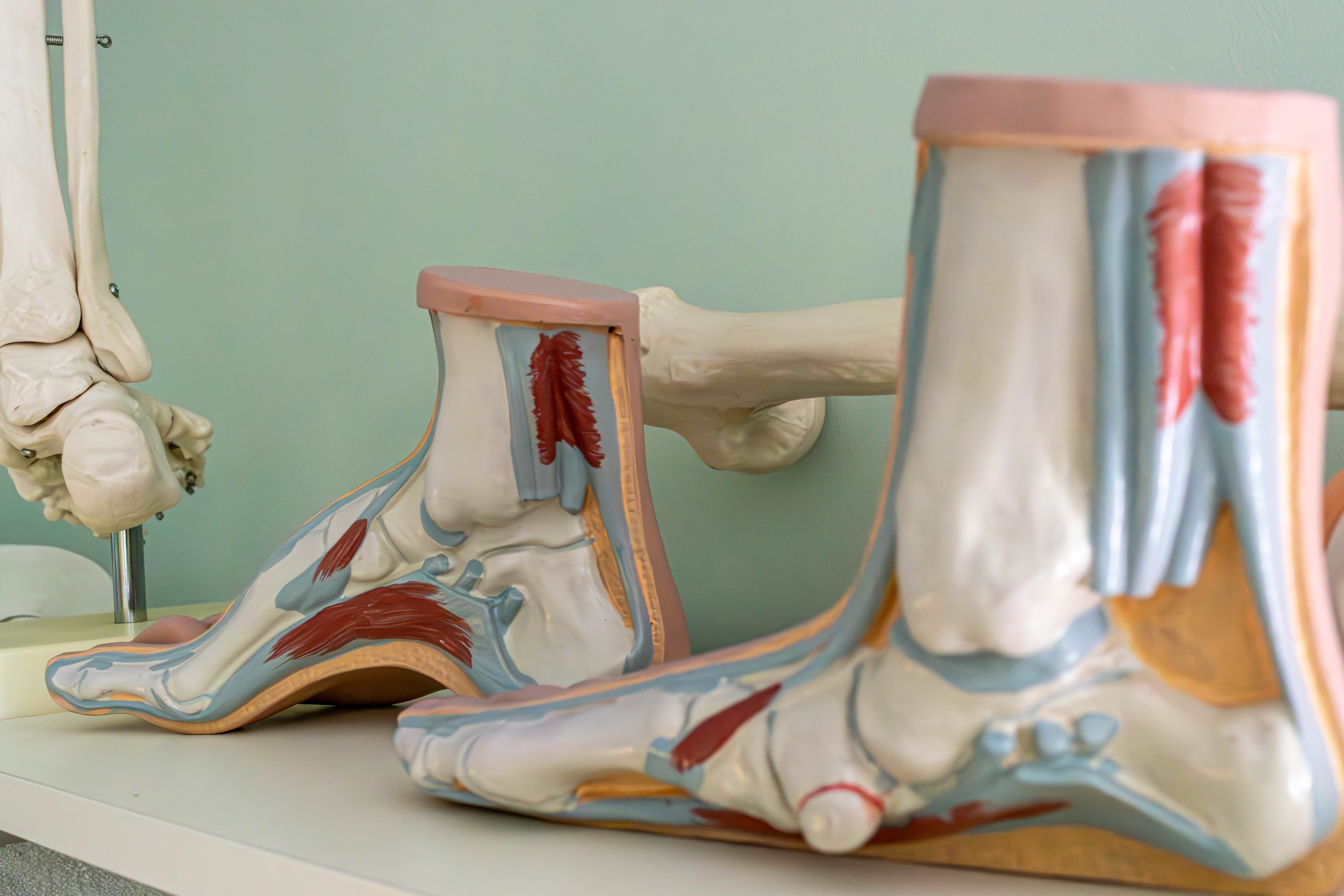 Professionele voetzorg bij Podos Prevent